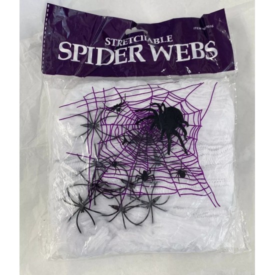 Spider Web 10 Spiders