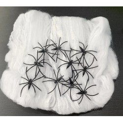 Spider Web 10 Spiders