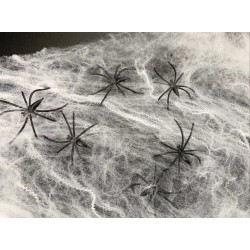 Spider Web 10 Spiders