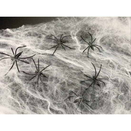 Spider Web 10 Spiders