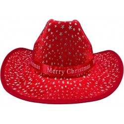 Adults Christmas Hat