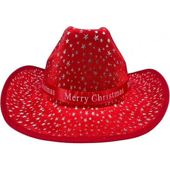 Adults Christmas Hat