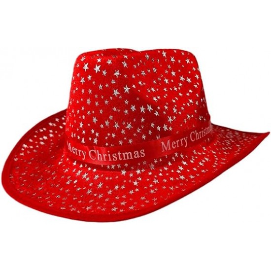 Adults Christmas Hat