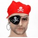 Pirate Accessories