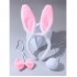 Bunny Set 
