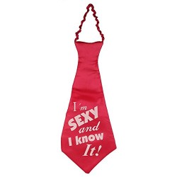 Decor Party Ties (Caption: I'm Sexy and I Know it)