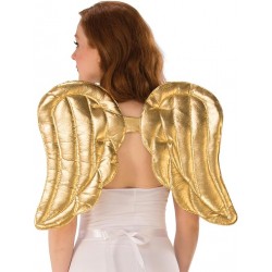 Gold & Silver Wings