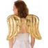 Gold & Silver Wings