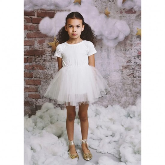  Dress Tutu Skirts