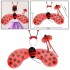 Ladybug wings