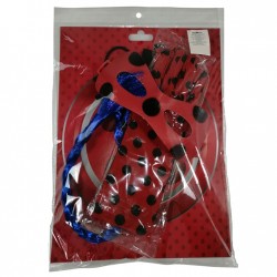 Ladybug Accessory Set