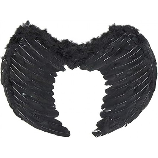 Angel Wings Black & White