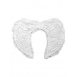 Angel Wings Black & White