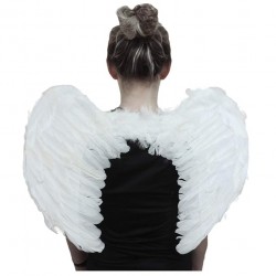 Angel Wings Black & White