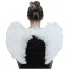 Angel Wings Black & White