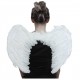 Angel Wings Black & White