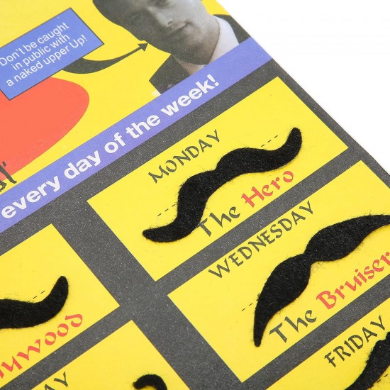 Fake Mustaches