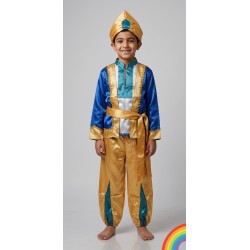 Aladdin Costume