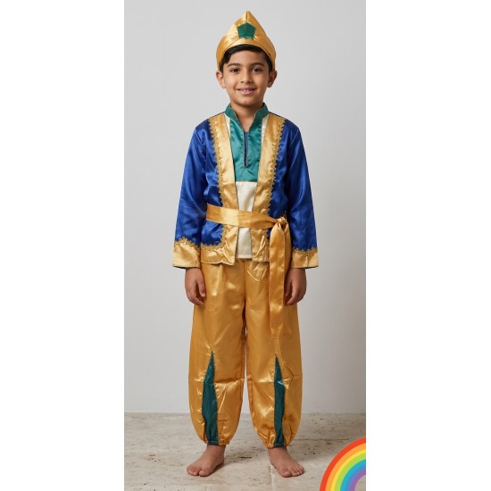 Aladdin Costume
