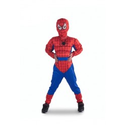 Spider man Costume