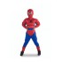 Spider man Costume