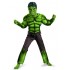 Hulk Costume