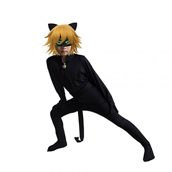 Cat Noir Costume