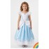 Cinderella Costume 