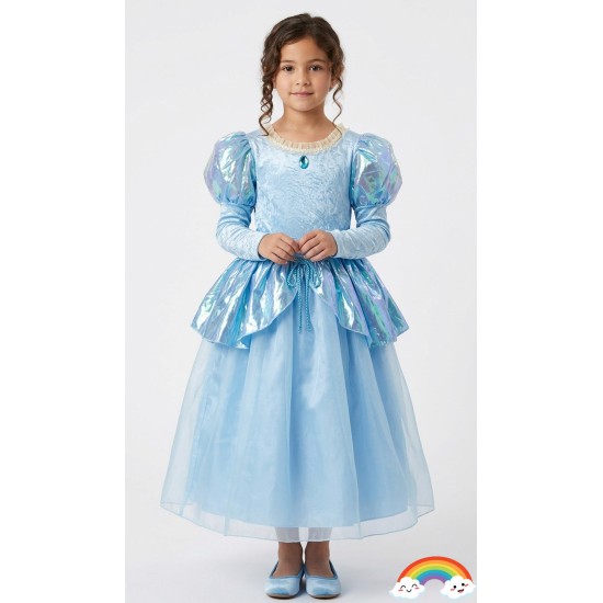 Cinderella Costume 