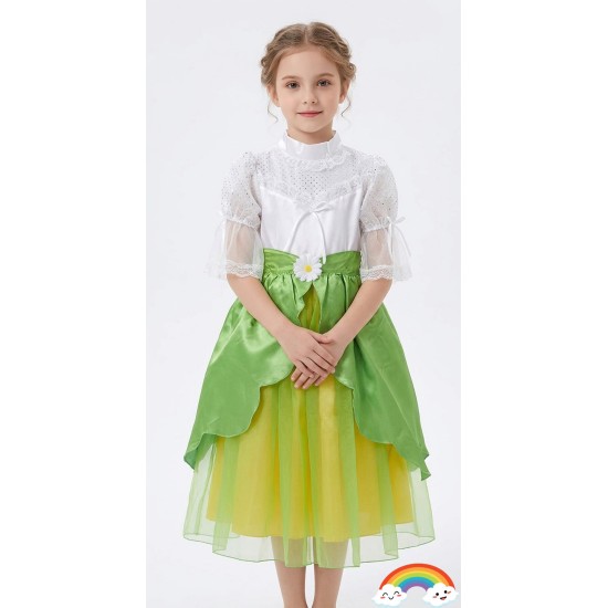 Green Fairy Costume with wings