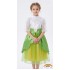 Green Fairy Costume with wings