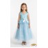 Blue Princess Costume