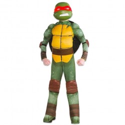 Ninja Turtles Costume