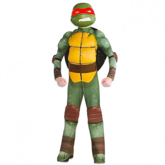 Ninja Turtles Costume
