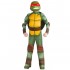 Ninja Turtles Costume