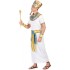 Egyptian Pharaoh Costume