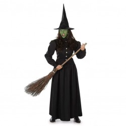 Women's Wicked Witch Costume