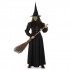 Women's Wicked Witch Costume