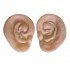 Ears