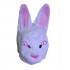 Rabbit Mask