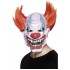 Clown Mask with Hair