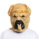 Dog Mask