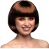 Short Cabaret Wig ( Brown )
