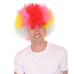 Clown Wig