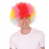 Clown Wig