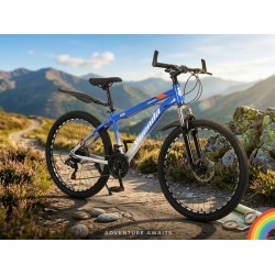 24"   BN-XTSZ Bicycle