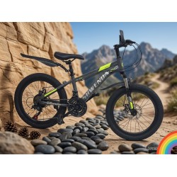 24"   BN-TSZ Bicycle