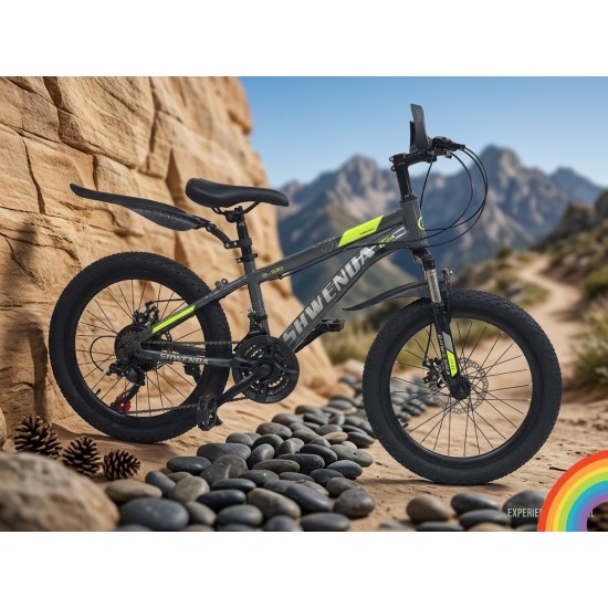 20"   BN-TSZ Bicycle