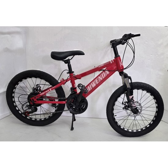 Shwenda Bicycle 21 Speed