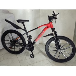 Shwenda Bicycle 24"